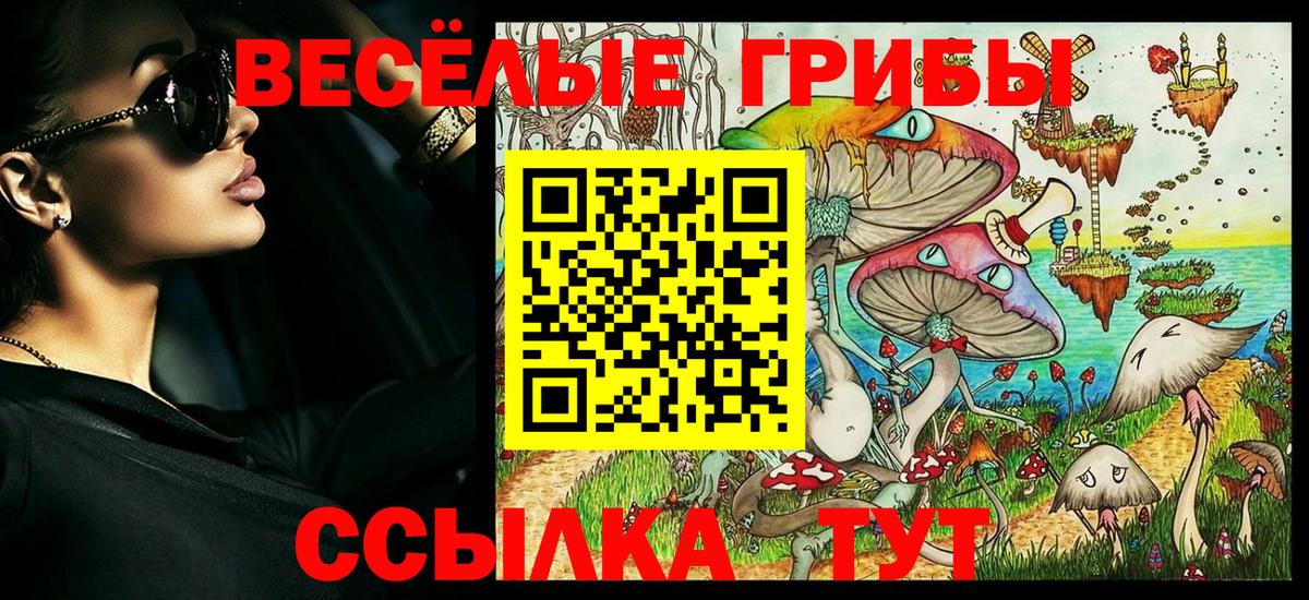 наркошоп  Псилоцибиновые грибы мухоморы  Вход с VPN  Вичуга 