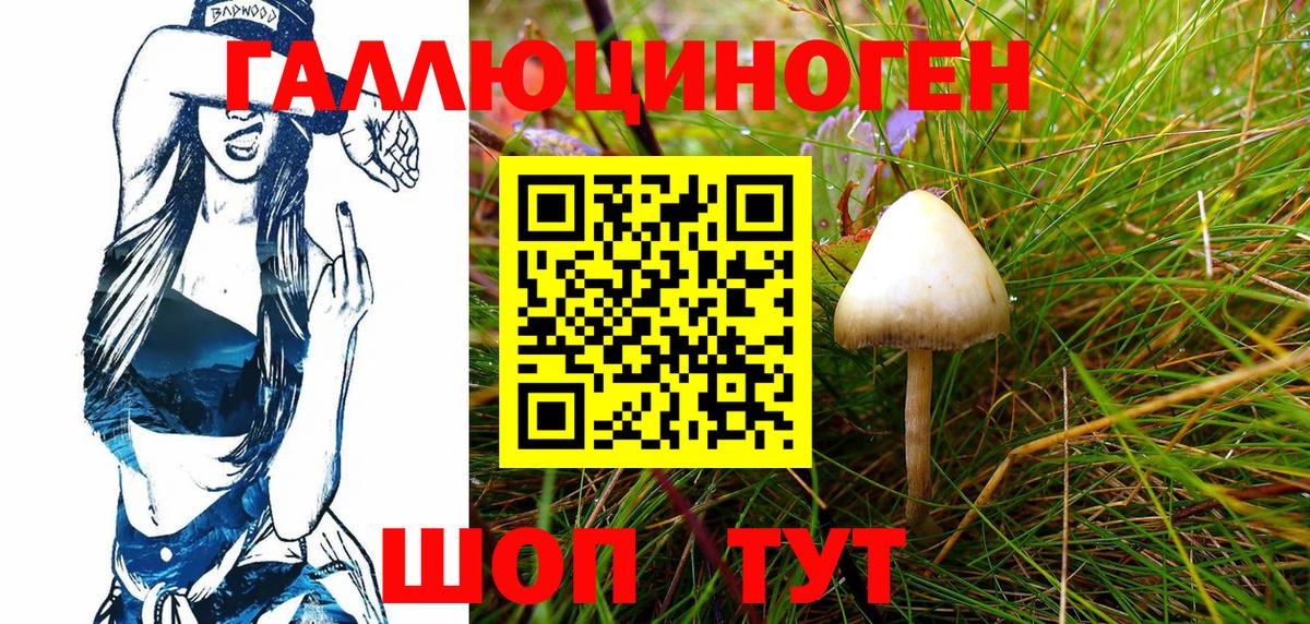 Псилоцибиновые грибы GOLDEN TEACHER Вичуга